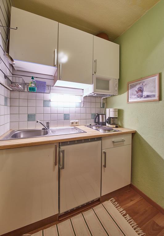 Appartements Alpin سالباخ هينترغليم المظهر الخارجي الصورة