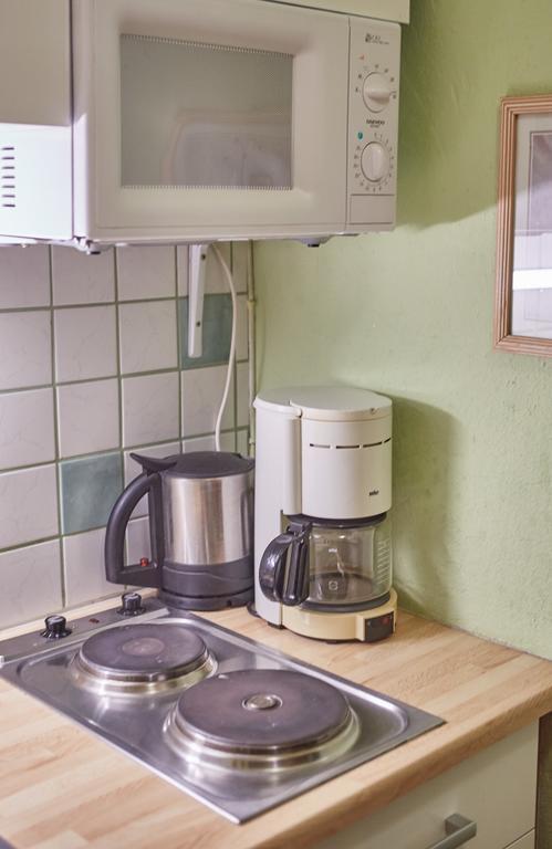 Appartements Alpin سالباخ هينترغليم المظهر الخارجي الصورة
